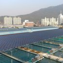스마트에너지 태양광발전소 이미지