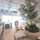 디저트39군산