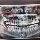 연세에스치과의원 이미지