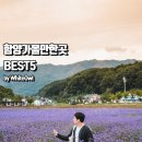 묘동길 | 함양 가볼만한곳 추천 대봉산휴양밸리 스카이랜드 모노레일, 짚라인부터 상림공원과 캠핑랜드까지 best5