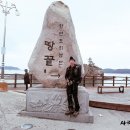 저담정농장 | 땅·통종주 _ 땅끝에서 통일전망대까지①