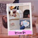 예정목장 | 제주 아이랑 가볼만한곳 추천｜서귀포디저트 목장카페 밭디 승마 체험형 카페