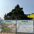 강원도 가볼만한 곳 평창 계촌클래식축제 후기 (feat. 약간의 실망감을 곁들인...)