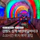 삼척해양레일바이크 용화정거장 예약 소요시간 현장예매 5월 삼척 가볼만한곳