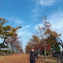 박제상기념관 이미지