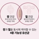 지노인테리어 이미지
