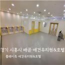 플레이독(애견유치원&호텔) 이미지