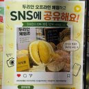 두리안 | [서울두리안] 두리안제국 대림본점 생두리안 솔직후기