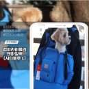 블루컴 | 컴피라비올리 텐마일백 L 시티블루 후기! 강아지 이동가방 추천, 수납력·스트랩 디테일까지