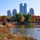 보라매공원 이미지