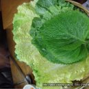 국시보쌈 이미지