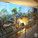 창조자연사박물관 이미지