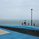 좋은세상 이미지