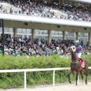 데이,그룸 이미지