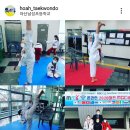 국가대표 호아 태권도 이미지