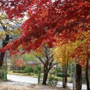 아름다운농장 이미지