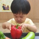 산새세탁 이미지