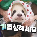 썸네일 - 익산시 동서로49길 23-4 | 썸네일