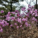 대전구봉고등학교 이미지