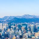 나라 부동산 공인중개사사무소 이미지