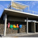 키즈포레스트 이미지