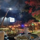 댕댕이블루스 이미지