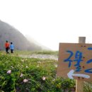 유유자적 이미지