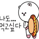 곰 체육관 이미지