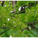 동강우체국 이미지