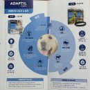 똥싼 강아지 | 내돈내산 강아지 분리불안 해결템 : 어뎁틸 캄 3종 장기사용 후기