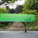 늘푸른쉼터캠핑장 이미지