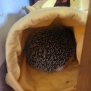 오래오래동물병원 이미지