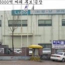 루보 이미지