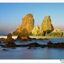 동해바다 이미지