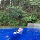 오캄럭스클럽 2단지 | 홍천 키즈 풀빌라 오캄럭스클럽 찐 후기