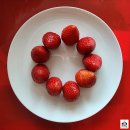 합천그린햇살농장 | 딸기 덕후들의 봄나들이 필수 코스 | 2026 논산딸기축제 후기