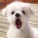 리얼뽑기방 이미지