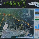 곰실화장실 | 천자봉~웅산~장복산(진해) .... 2024.03.31