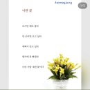 너란, 꽃 이미지