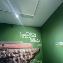 6/20 대전 노아의 방주: 새로 밟는 땅 전시회 후기