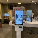 설빙 | 대구 칠곡 빙수 카페 설빙 대구보건대점 애플망고치즈설빙 내돈내산 후기