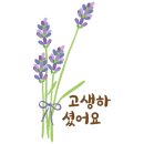 다시 - 북구 | 다시