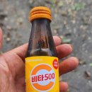 유압크레인용인협회 | 기흥 사업장 아름드리 은행나무 벌목 5톤 집게차로 안전하게 신속한 상차 후기