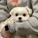 초리골펜션 이미지