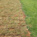 대광농장 이미지