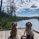 다니엘 농장 이미지