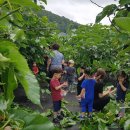 부안군농업기술센터 이미지