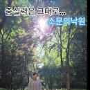 소문의낙원 이미지