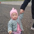 맘마목장 이미지