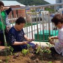 중리할머니경로당 이미지